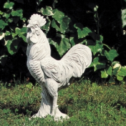 Gallo cm 37 H 60 in pietra ricostituita